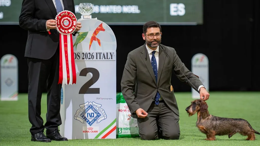 Tragaldabas Bertín · World Dog Show 2026